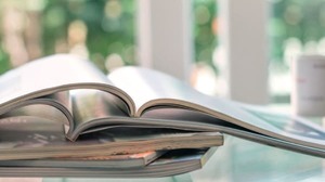 Revistas indexadas